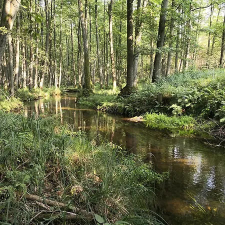 Pod Orlem مزرعة للإقامة